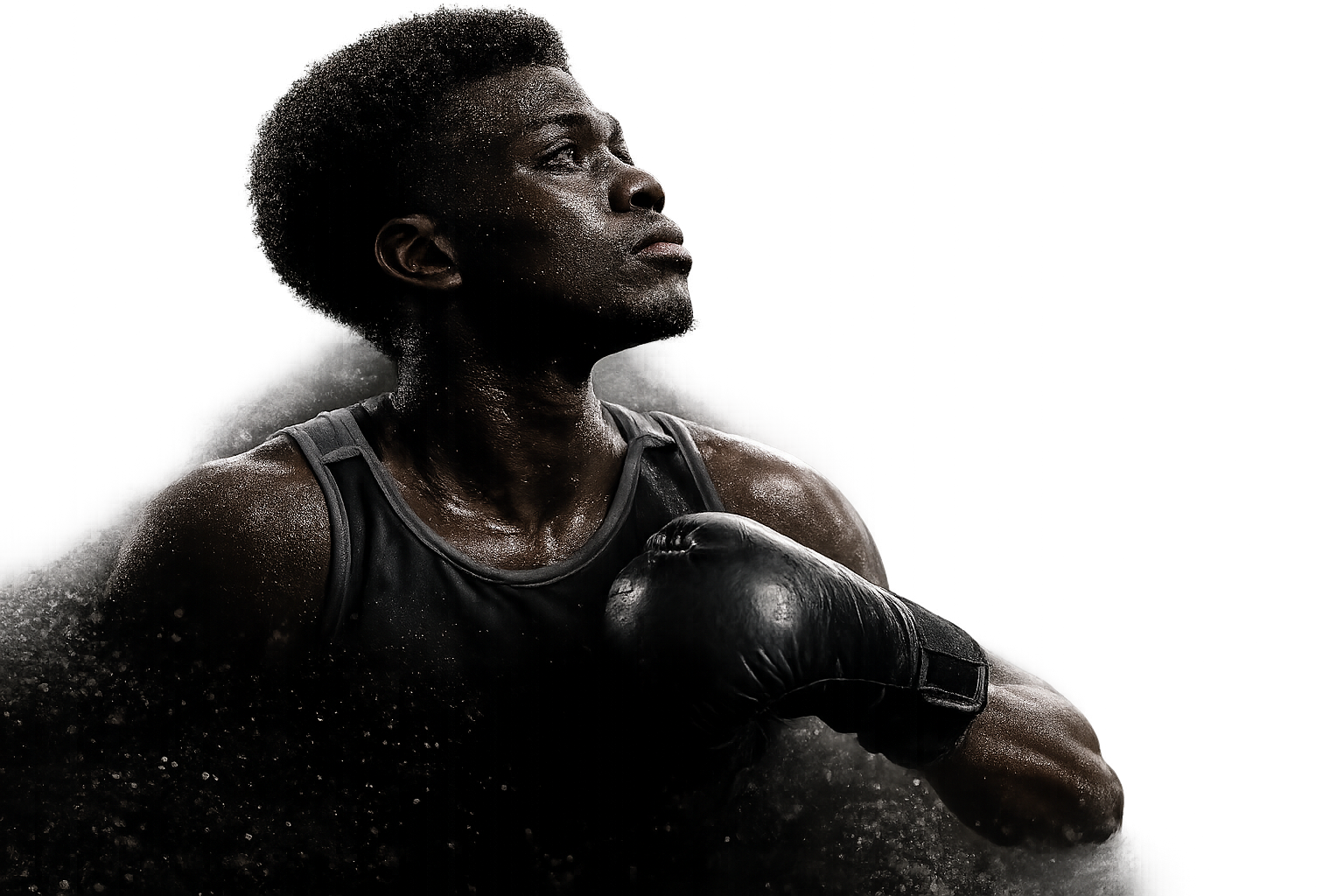 Gloves for Africa boxer